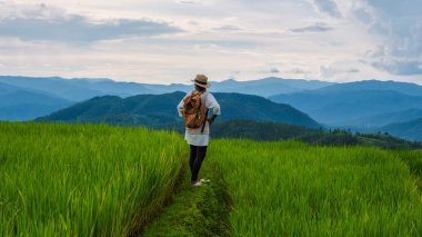 Chiangmai, Tayland 'daki Terrace Rice Field, Pa Pong Piang pirinç terasları, yağmur mevsiminde yeşil çeltik tarlaları. Dağlarda yürüyüş yapan Asyalı kadın.