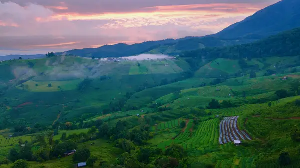 Bellissimo Tramonto Con Verde Terrazzo Campo Riso Chiangmai Thailandia Pong — Foto Stock