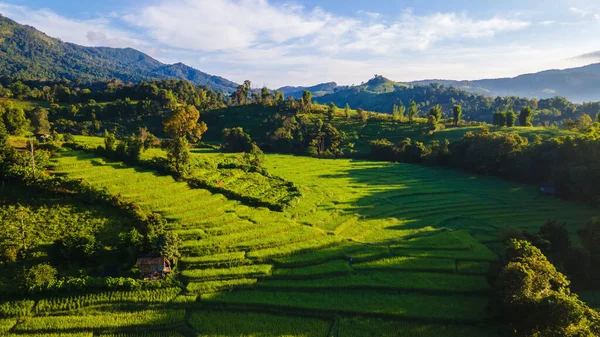泰国清迈的绿色梯田 帕邦坪水稻梯田 日落雨季的绿色稻田 — 图库照片