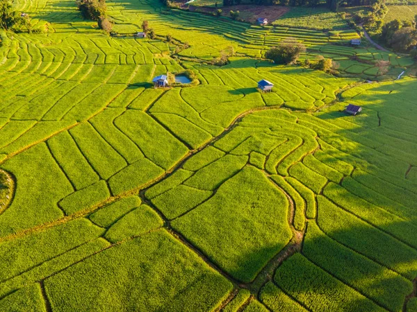 泰国清迈的梯田稻田在绿雨季节 上午泰国北部Khun Pae皇家项目 — 图库照片