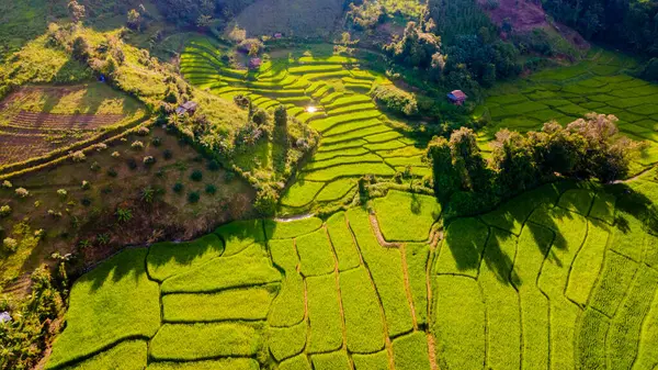 泰国清迈的梯田稻田在绿雨季节 泰国北部Khun Pae皇家项目 无人机航空视图 — 图库照片