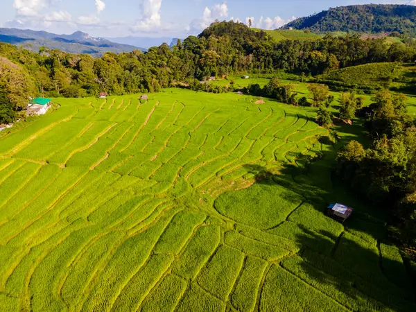 泰国清迈的梯田稻田在绿雨季节 泰国北部Khun Pae山谷皇家项目 — 图库照片
