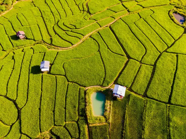 泰国清迈的梯田稻田在绿雨季节 泰国北部Khun Pae皇家项目 从上方俯瞰一个有小农场的绿色稻田 — 图库照片