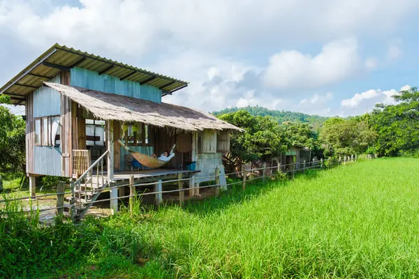 Небольшое Семейное Проживание Ферме Зеленым Рисовым Полем Центральном Таиланде — стоковое фото