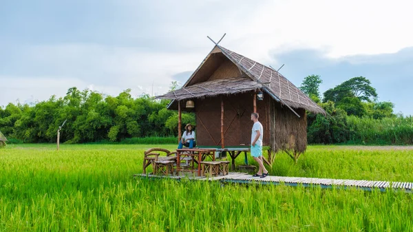 Пара Мужчин Женщин Небольшой Семье Ферме Зеленым Рисовым Рисовым Полем — стоковое фото