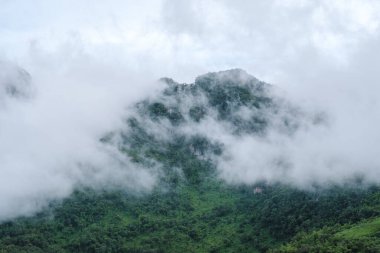 Chiang Mai, Tayland 'daki Doi Luang Chiang Dao dağ tepelerinde sis ve sisle kaplı dağ zirvesi. Seyahatlerde ve tatillerde doğa manzarası. Doi Lhung Chiang Dao Sisli ve sisli bir bakış açısı 