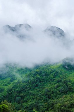 Chiang Mai, Tayland 'daki Doi Luang Chiang Dao dağ tepeleri. Seyahatlerde ve tatillerde doğa manzarası. 