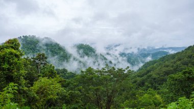 Chiang Mai, Tayland 'daki Doi Luang Chiang Dao dağ tepeleri. Seyahatlerde ve tatillerde doğa manzarası. Doi Lhung Chiang Dao Bulutlu ve sisli yağmur mevsiminde
