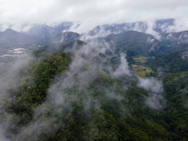 Samoeng Orman Parkı, bulutlu ve sisli dağların muhteşem manzarası, Mae Sa Vadisi Döngüsü Chiang Mai Tayland