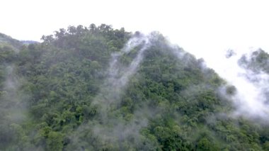 Samoeng Orman Parkı, bulutlu ve sisli dağların muhteşem manzarası Mae Sa Vadisi Döngüsü Chiang Mai Tayland. Yağmur mevsiminde bulutlar ve yağmur