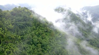Samoeng Orman Parkı, bulutlu ve sisli dağların muhteşem manzarası Mae Sa Vadisi Döngüsü Chiang Mai Tayland. Yağmur mevsiminde bulutlar ve yağmur