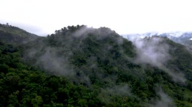 Samoeng Orman Parkı, bulutlu ve sisli dağların muhteşem manzarası Mae Sa Vadisi Döngüsü Chiang Mai Tayland. Sis ve sisli yeşil dağlar