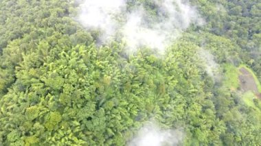 Samoeng Orman Parkı, bulutlu ve sisli dağların muhteşem manzarası Mae Sa Vadisi Döngüsü Chiang Mai Tayland. Bulutlu ve yağmurlu yeşil dağlar