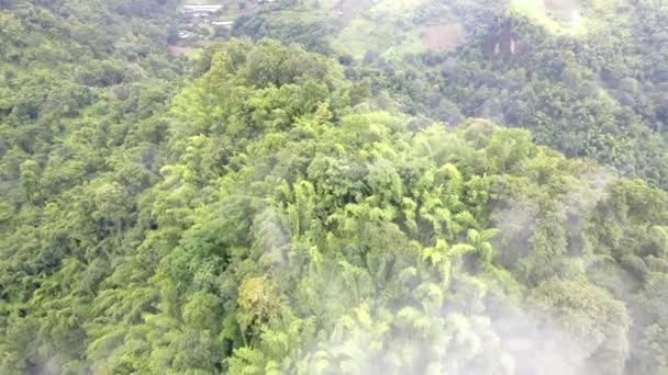 Samoeng Forest Park Μια Καταπληκτική Θέα Στο Δάσος Και Βουνά — Αρχείο Βίντεο