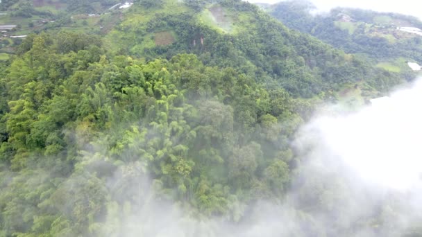 Samoeng Forest Park Una Vista Spettacolare Sulla Foresta Sulle Montagne — Video Stock