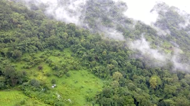 Samoeng Forest Park Spektakularny Widok Las Góry Chmurami Mgłą Mae — Wideo stockowe
