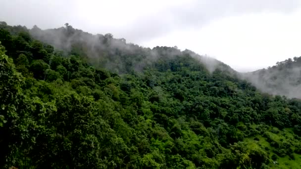 Лесопарк Самоенг Впечатляющий Вид Лес Горы Облаками Туманом Долина Мае — стоковое видео
