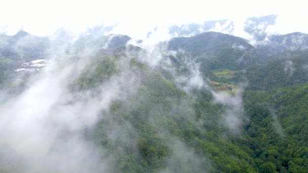 Самуенг Форест Парк Вражаючий Вид Ліс Гори Хмарами Туманом Мей — стокове відео
