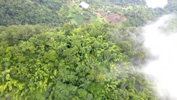 Samoeng Forest Park Nádherný Výhled Les Hory Mraky Mlhou Mae — Stock video