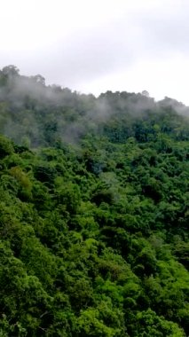 Samoeng Orman Parkı, bulutlu ve sisli dağların muhteşem manzarası, Mae Sa Vadisi Döngüsü Chiang Mai Tayland Yağmurlu bir günde