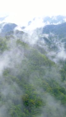 Samoeng Orman Parkı, bulutlu ve sisli dağların muhteşem manzarası, Mae Sa Vadisi Döngüsü Chiang Mai Tayland 