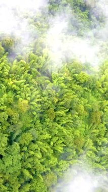 Samoeng Orman Parkı, bulutlar ve sisli dağların muhteşem manzarası, Mae Sa Vadisi Döngüsü Chiang Mai Tayland sisli ve bulutlu yağmurlu bir günde