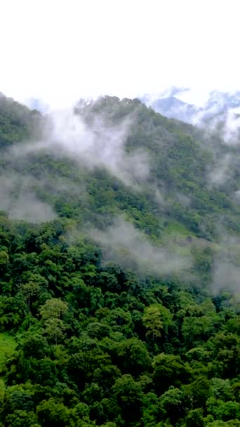 Лесопарк Самоенг Впечатляющий Вид Лес Горы Облаками Туманом Долина Мае — стоковое видео