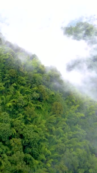 Лесопарк Самоенг Захватывающий Вид Лес Горы Облаками Туманом Долина Мае — стоковое видео