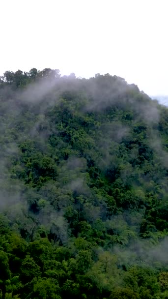 Samoeng Forest Park Látványos Kilátás Nyílik Erdő Hegyek Felhők Köd — Stock videók