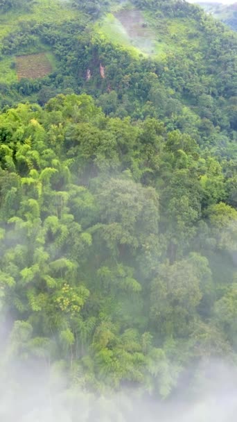 Samoeng Forest Park Una Vista Spettacolare Sulla Foresta Sulle Montagne — Video Stock