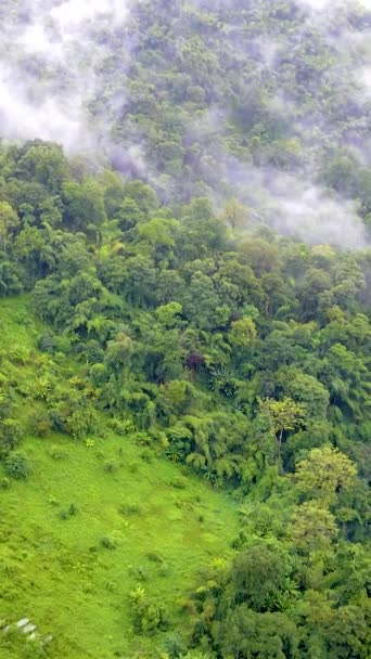 Samoeng Orman Parkı Bulutlu Sisli Dağların Muhteşem Manzarası Mae Vadisi — Stok video