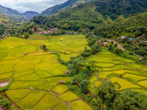 yellow green golden rice paddy field terraces at Sapan Bo Kluea Nan Thailand, a green valley with green rice fields and mountains with farms