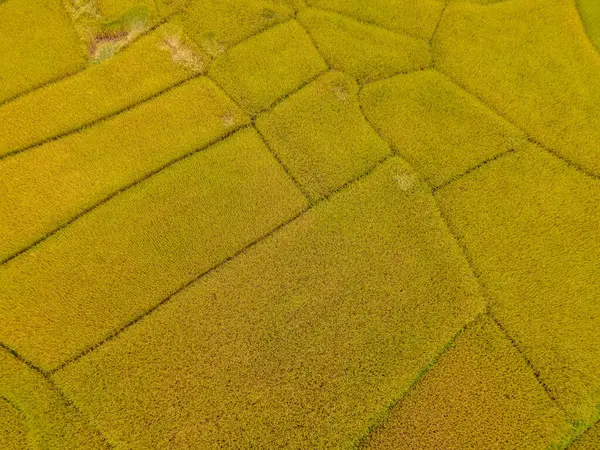 Riisipeltoterassit Sapan Kluea Nan Thaimaassa — kuvapankkivalokuva