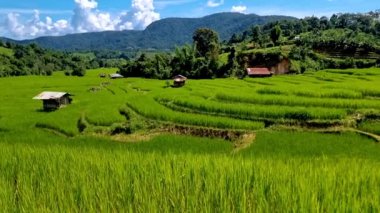 Tayland 'daki yeşil yağmur mevsiminde Chiangmai' deki teras pirinç tarlasında. Kraliyet Projesi Khun Pae Kuzey Tayland. Dağlardaki çiftlikte küçük bambu evleri.