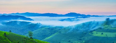 Chiangmai, Tayland 'daki Terrace Rice Field, Pa Pong Piang pirinç terasları, yağmur mevsiminde yağmur mevsiminde sisli ve sisli bulutlu yeşil çeltik tarlaları.