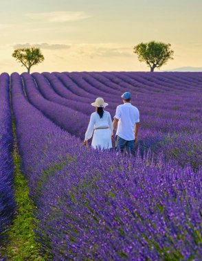 Provence, Lavanta tarlası Fransa, Valensole Platosu, Lavanta çiçekli renkli bir alan, Provence, Güney Fransa Birkaç erkek ve kadın lavanta tarlasında gün batımını seyrediyor.
