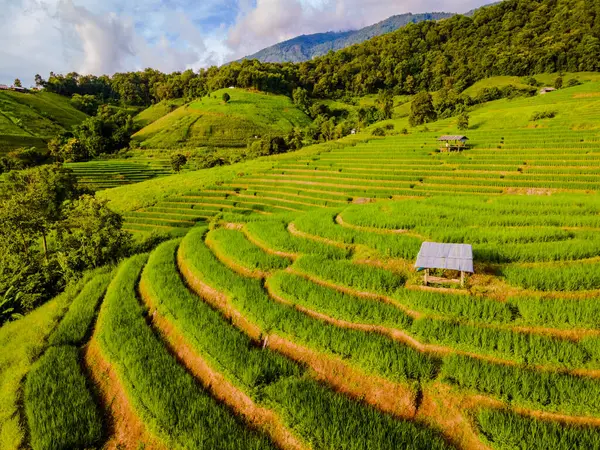 Auringonlasku Vuorilla Vihreä Rivitalo Riisipelto Chiangmai Thaimaa Pong Piang Riisiterassit — kuvapankkivalokuva