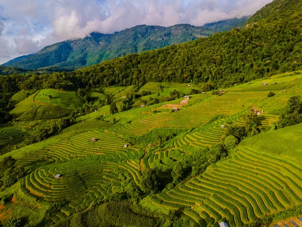 Auringonlasku Vuorilla Vihreä Riisiriisipeltoja Chiangmai Thaimaa Pong Piang Riisiterassit — kuvapankkivalokuva