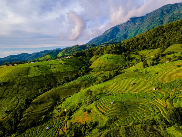 Chiangmai, Tayland, Pa Pong Piang pirinç terasları, yağmur mevsiminde yeşil pirinç tarlaları ile dağlarda gün batımı