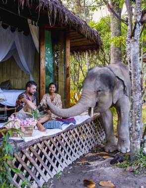Chiang Mai Tayland 'daki bir fil tapınağını ziyaret eden bir çift, Chiang Mai Tayland' ın dağlarındaki bir fil çiftliği.