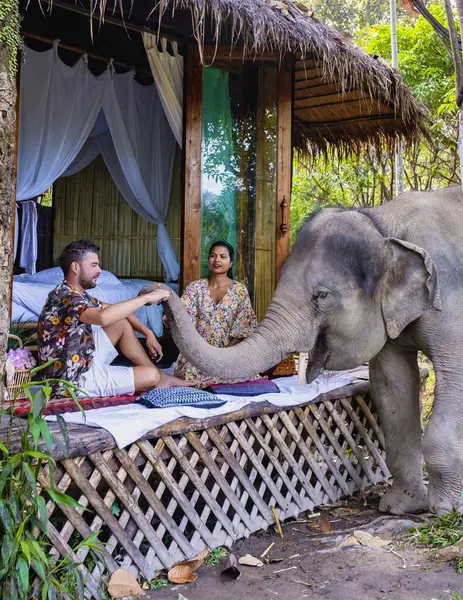 A couple of Asian women and European men visit an Elephant sanctuary in Chiang Mai Thailand during vacation, an Elephant farm in the mountains jungle of Chiang Mai Thailand.