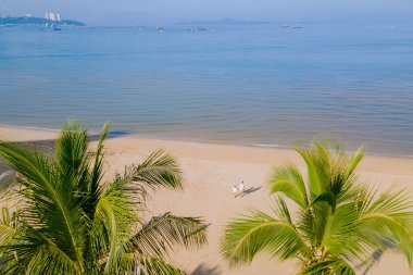 Pattaya Thailand plaj yolunda palmiye ağaçlarıyla sahilde yürüyen bir çift kadın ve erkek İHA görüntüsü