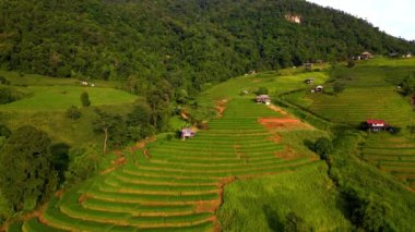 Kuzey Tayland 'da çeltik pirinç tarlaları, Kuzey Tayland' da Pa Pong Piang pirinç terasları