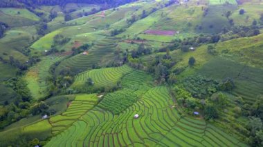Kuzey Tayland 'da çeltik pirinç tarlaları, Kuzey Tayland' da Pa Pong Piang pirinç terasları gün batımında