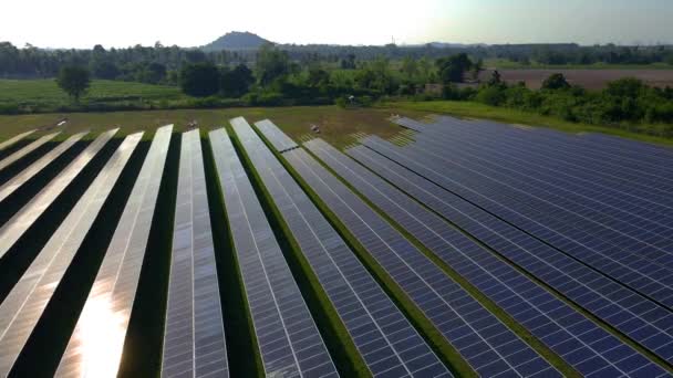 太陽光パネル 夏の太陽光発電フィールド 太陽からの太陽電池パネル発電機 タイのクリーンテクノロジーエネルギー移行 チョンブリの背景にある山 — ストック動画
