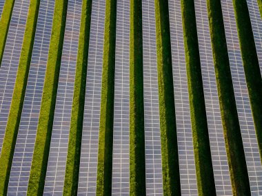 Günbatımında Tayland 'da güneş enerjisi alan, güneş panelleri güneş enerjisi jeneratörleri. Chonburi Tayland 'da Enerji Geçişi