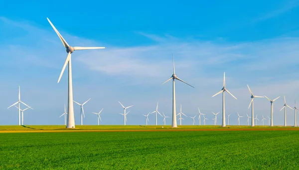 Windmill Park Windmill Turbines Netherlands Green Energy Green Agriculture Field — Stock Photo, Image
