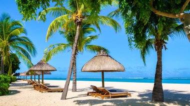 Le Morne Beach Mauritius Tropikal plajı. Palmiye ağaçları, beyaz kum mavisi okyanus, şemsiyeli plaj yatakları, güneş sandalyeleri ve Mauritius 'taki tropik bir sahilde palmiye ağacının altında şemsiyeler.