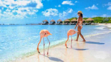 Aruba 'da pembe flamingolu Asyalı kadınlar, Aruba Adası Karayipleri' nde plajda flamingolar. Bikinili bir kadın tatilde plajda dinleniyor.