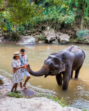 Chiang Mai Tayland 'da bir nehir kenarındaki Fil Yetimhanesi' nde fil besleyen bir çift, Chiang Mai Tayland dağlarında bir fil çiftliği..